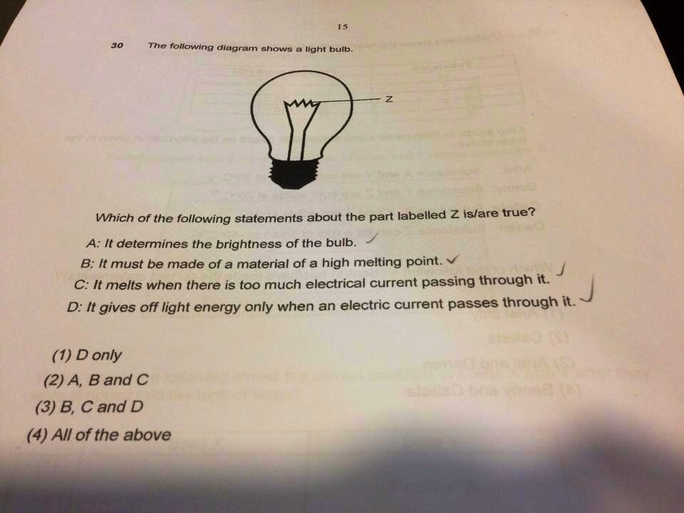 Primary 6 Science Question on Light Bulb